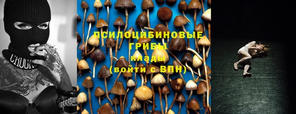 jwh Зеленокумск