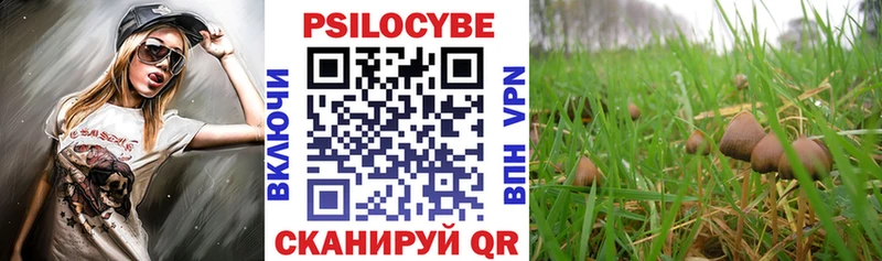 Псилоцибиновые грибы GOLDEN TEACHER  Саянск 